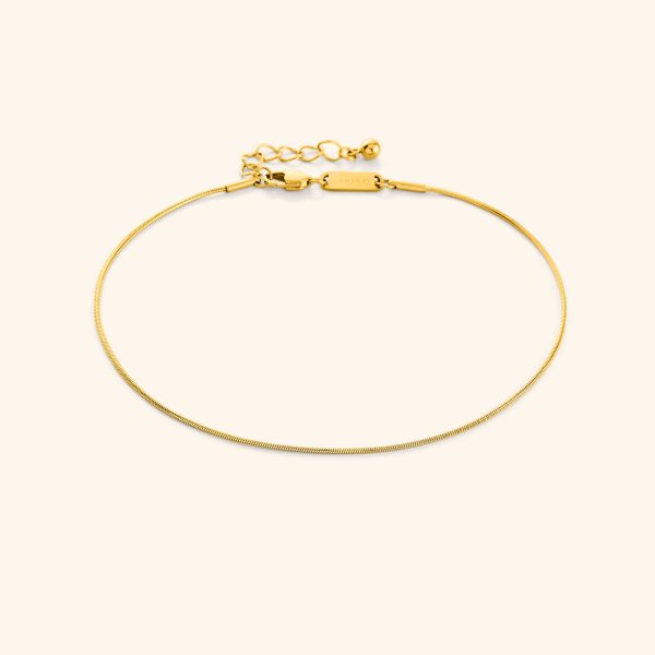 Micro Harmony Anklet on Sale